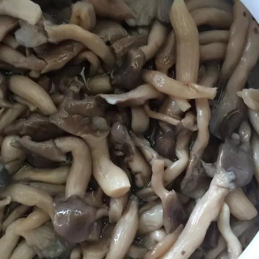 云仓签约品30kg左右凉拌菜姬菇小蘑菇