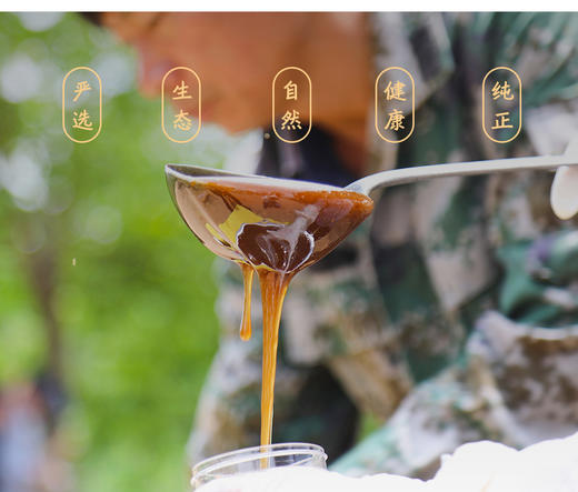 【土蜂蜜】纯天然成熟顶级蜜 商品图7