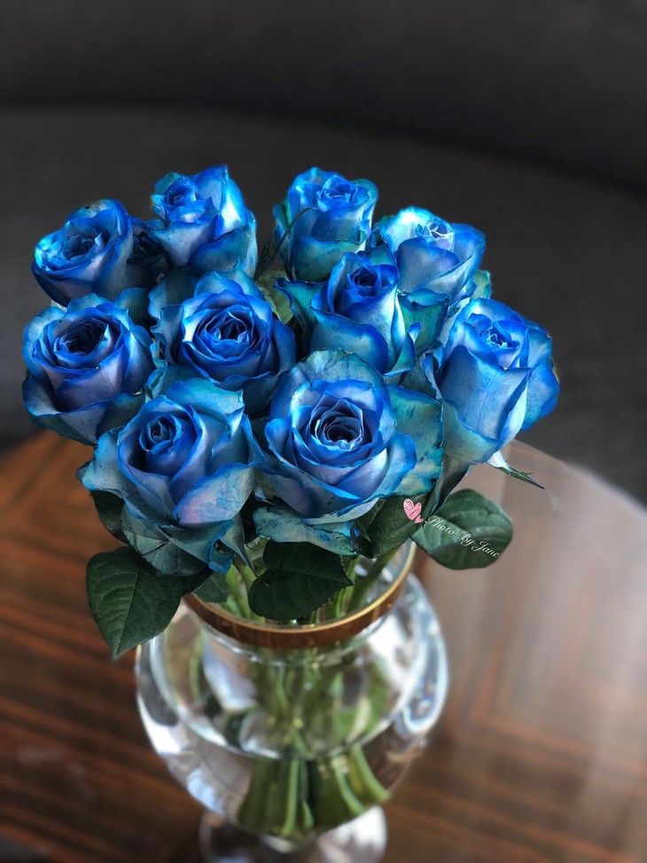 昆明直发499元9枝国产新品玫瑰冰雪皇后顺丰全国包邮