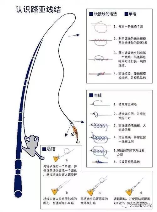 海洋奇缘 | 海岛骑行·出海捕鱼·海钓课程·海洋皮划艇