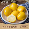 五芳斋 盐焗味鹌鹑蛋卤蛋*4袋 鹌鹑蛋无壳卤蛋小吃休闲零食即食真空卤味蛋 商品缩略图0