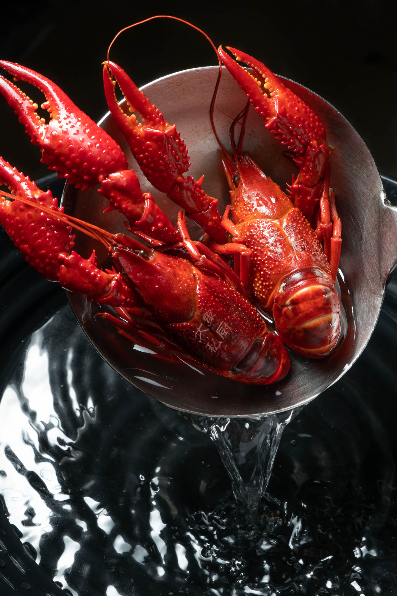 【盐水龙虾】三斤（活虾净重）