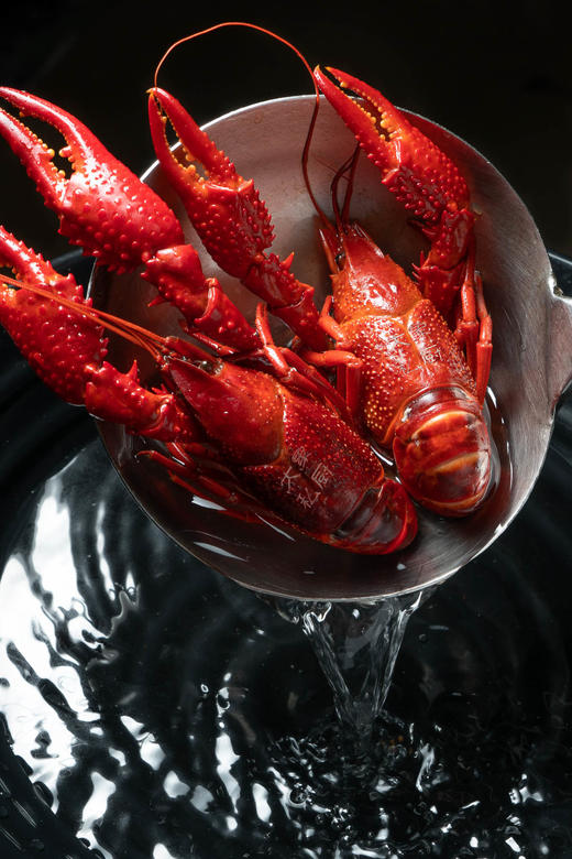 【盐水龙虾】三斤（活虾净重） 商品图0