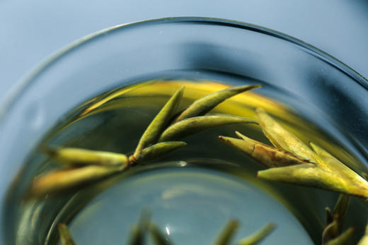 玉露凝香2019春  |  高香野生古树芽茶 适合多种泡法 商品图1