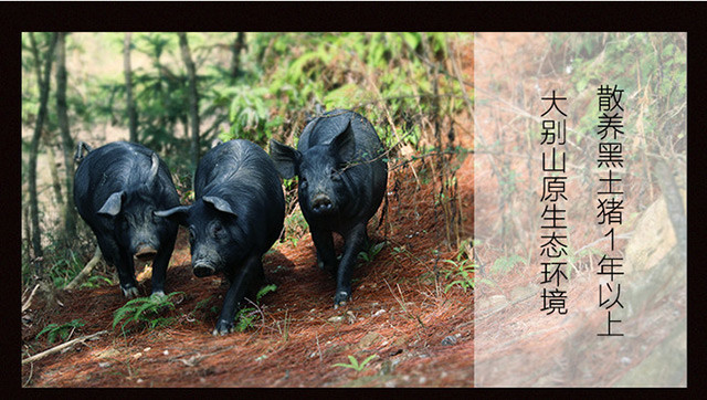 【现杀黑猪肉】大别山黑猪肉 前腿 后腿 五花肉 精选土猪肉500克