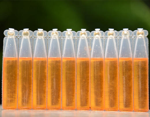 桔小实蝇针蜂引诱剂实蝇药水现货 商品图0