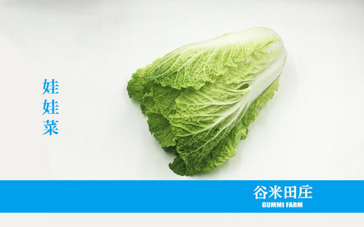 娃娃菜 商品图1