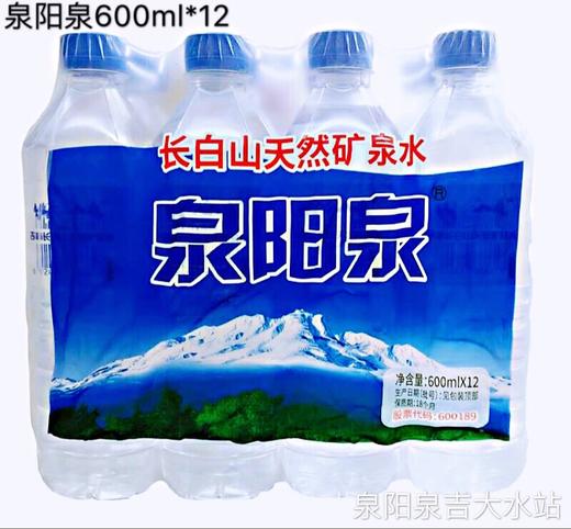 泉阳泉600ml*12整箱装 商品图0