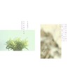 【中商原版】港台原版 那些在爱中受的伤，都是修行 万里出版 素黑 情感自疗 商品缩略图1