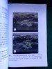 超声引导下肌肉骨骼注射治疗（ 天津科技翻译出版社） 商品缩略图2