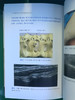 超声引导下肌肉骨骼注射治疗（ 天津科技翻译出版社） 商品缩略图6