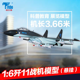 特尔博-长春航展、九三阅兵纪念品 1:6歼11战斗机模型丨大型军事展览模型丨吊装军事模型