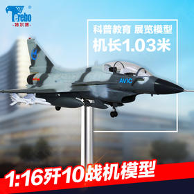 特尔博1:16歼10战斗机模型丨大型军事展览模型丨航展飞机模型