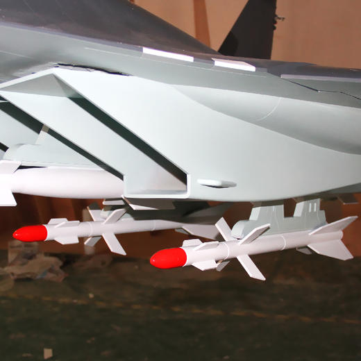 特尔博-长春航展、九三阅兵纪念品 1:6歼11战斗机模型丨大型军事展览模型丨吊装军事模型 商品图2
