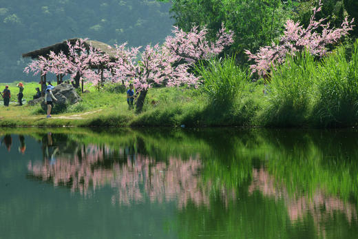 云南普者黑、坝美、八宝6天摄影团 商品图9