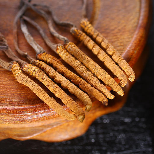 同仁堂总统牌虫草冬虫夏草507g礼盒近效期202136