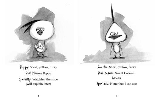 小鸡特工队5册 英文原版 The Chicken Squad 1-5 侦探推理小说章节书 朵琳·克罗宁Doreen Cronin 儿童课外书 儿童文学小说 7-10岁 商品图1