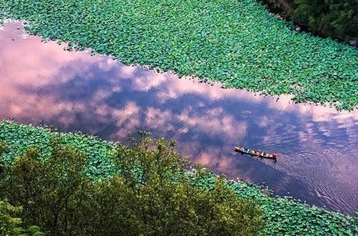 云南普者黑、坝美、八宝6天摄影团 商品图0