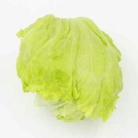 【新鲜】蔬菜圆生菜约400g/个称重多退少补