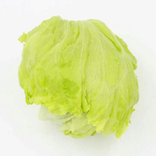 【新鲜】蔬菜圆生菜约400g/个称重多退少补 商品图0