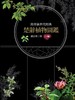 预售 楚辞植物图鉴（2.0版）港台原版 潘富俊 猫头鹰出版 全彩珍藏版 商品缩略图0
