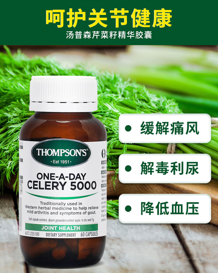 thompsons汤普森西芹籽痛风降尿酸关节保健60粒