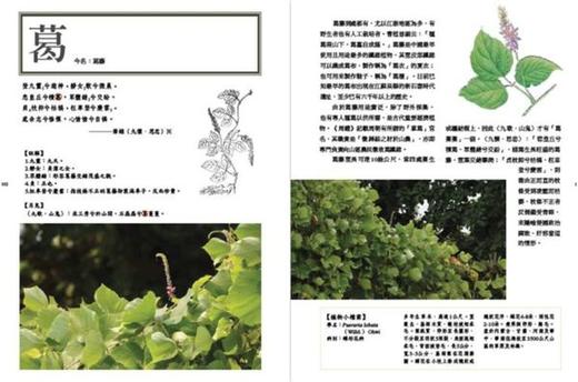 预售 楚辞植物图鉴（2.0版）港台原版 潘富俊 猫头鹰出版 全彩珍藏版 商品图2
