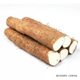 【新鲜】蔬菜 铁杆山药约500g/份