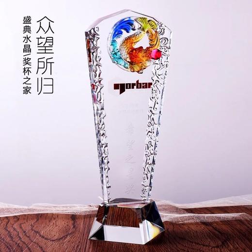 创意琉璃奖杯奖牌定做高档水晶奖杯奖牌定做荣誉颁奖刻字定做 商品图0