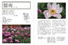 预售 楚辞植物图鉴（2.0版）港台原版 潘富俊 猫头鹰出版 全彩珍藏版 商品缩略图1