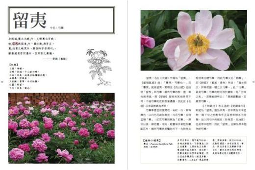 预售 楚辞植物图鉴（2.0版）港台原版 潘富俊 猫头鹰出版 全彩珍藏版 商品图1