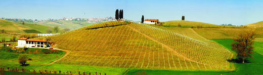 迈克基阿罗酒庄皮尔蒙特佳味保证法定产区干白葡萄酒Michele Chiarlo Gavi DOCG, Piedmont, Italy 商品图2