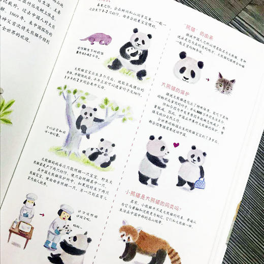 世界动物绘本 赠动物护照贴纸 超详细动物图鉴 适合7-10岁 商品图4