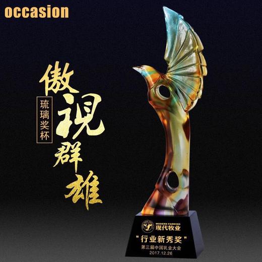 比赛奖杯 跆拳道比赛奖杯 演讲比赛奖品 讲座 舞蹈奖杯 纹绣奖杯 商品图0