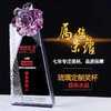 高档琉璃奖杯奖牌定做创意水晶奖品定制荣誉颁奖纪念品刻字制作 商品缩略图4