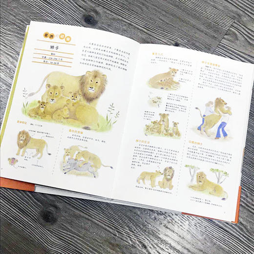 世界动物绘本 赠动物护照贴纸 超详细动物图鉴 适合7-10岁 商品图5