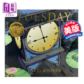 凯迪克 疯狂星期二 无字书绘本英文原版 Tuesday 大卫·威斯纳David Wiesner 1992年凯迪克金奖 家长们推荐的经典有趣故事书