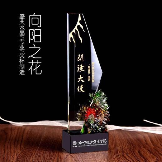 水晶奖杯定制奖牌年会奖品纪念品年终奖杯琉璃奖杯加盟牌 商品图0