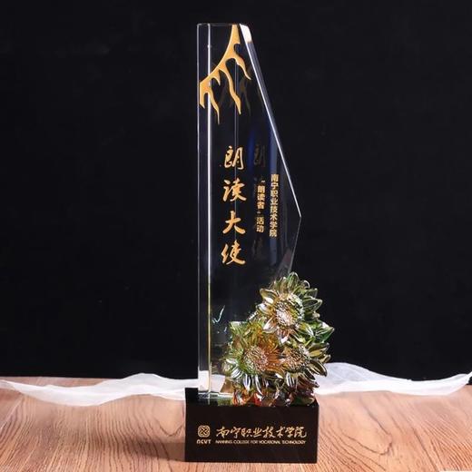 水晶奖杯定制奖牌年会奖品纪念品年终奖杯琉璃奖杯加盟牌 商品图1