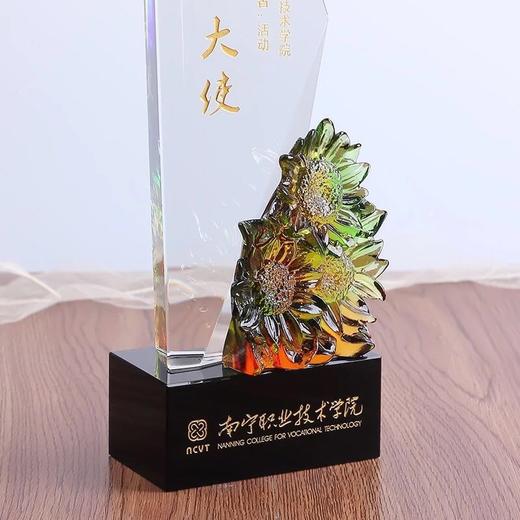 水晶奖杯定制奖牌年会奖品纪念品年终奖杯琉璃奖杯加盟牌 商品图2
