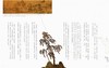 【中商原版】笔纸中国画（修订版）港台原版 赵广超 香港三联书店 文化艺术 探索及体会传统中国绘画艺术 商品缩略图4