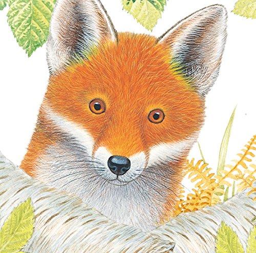 乐乐趣 触摸书 小兔比利（中英对照） 莫里斯 0-1-2-3岁 正版 商品图1