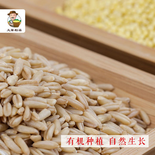 有机燕麦米 有机大黄米730g/礼盒装 杂粮两件套（中国有机认证） 商品图4