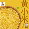 有机黄小米370g/盒（中国有机认证） 商品缩略图2