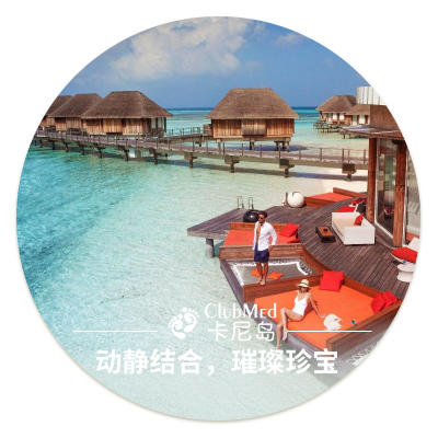 ClubMed   预约申请单 （简易版） 商品图9