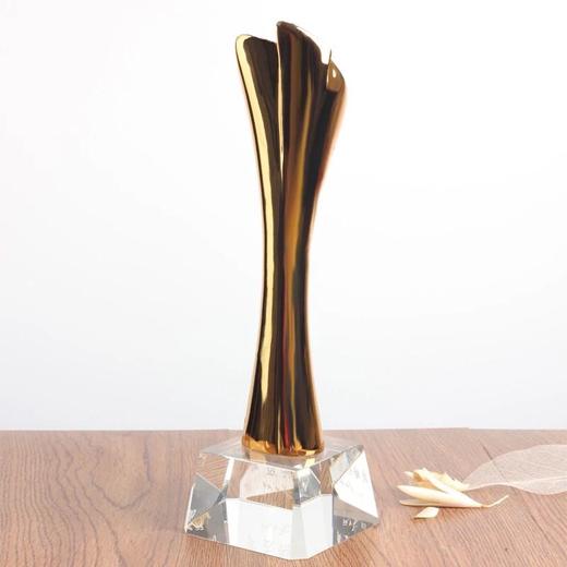 十周年纪念品定制金属奖杯创意奖品企业年会表彰用品刻字水晶奖杯 商品图2