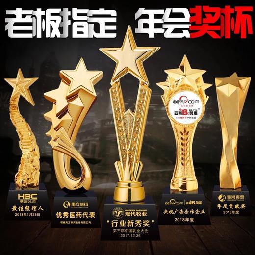 奖杯定制定做高档优秀员工奖品创意金属安斯卡小金人冠军奖杯刻字 商品图2