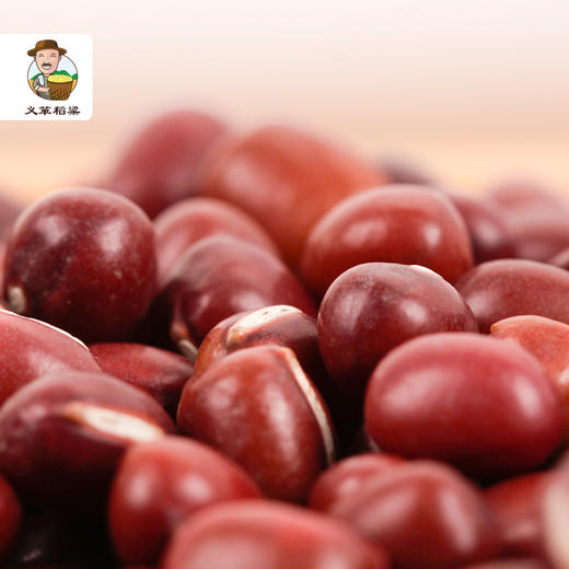 有机红小豆红豆350g/盒*3（中国有机认证） 商品图5