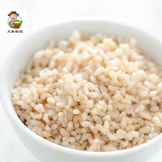 有机糙米400g/盒（中国有机认证） 商品图2