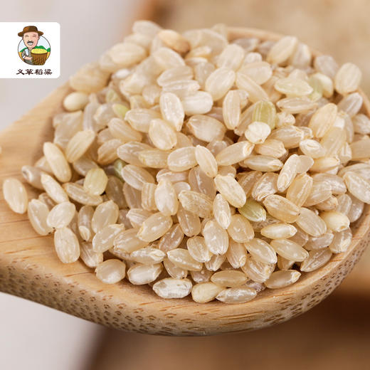 有机糙米400g/盒（中国有机认证） 商品图4